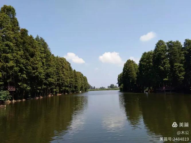 李中水上森林