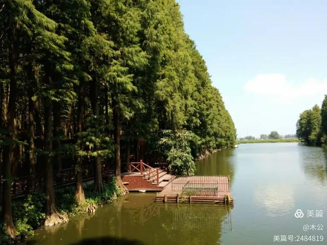 李中水上森林
